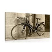 Wandbild Rustikales Fahrrad in Sepia