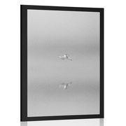 POSTER BIRD IN THE FOG IN BLACK AND WHITE - BLACK AND WHITE - POSTERS
