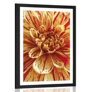 AFFICHE AVEC MONTURE DAHLIA EXOTIQUE - FLEURS - AFFICHES