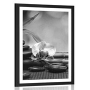 POSTER WITH MOUNT FENG SHUI STILL LIFE IN BLACK AND WHITE - BLACK AND WHITE - POSTERS
