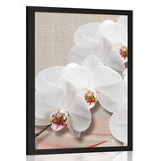 POSTER WHITE ORCHID ON A CANVAS - FLOWERS - POSTERS
