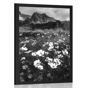 POSTER MEADOW OF BLOOMING FLOWERS IN BLACK AND WHITE - BLACK AND WHITE - POSTERS