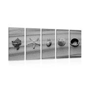 5-delna slika školjke na peščeni plaži v črnobeli izvedbi