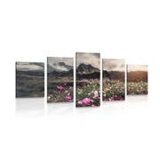 5-piece Canvas print meadow of blooming flowers