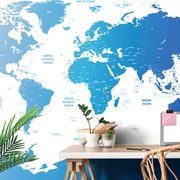Tapete Weltkarte mit einzelnen Ländern