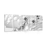 5-PIECE CANVAS PRINT BLACK AND WHITE ORCHID ON AN ABSTRACT BACKGROUND - BLACK AND WHITE PICTURES - PICTURES