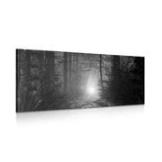 CANVAS PRINT LIGHT IN THE FOREST IN BLACK AND WHITE - BLACK AND WHITE PICTURES - PICTURES