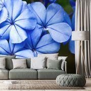 WALL MURAL WILD BLUE FLOWERS - WALLPAPERS FLOWERS - WALLPAPERS