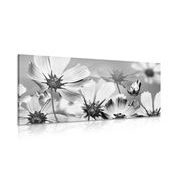 Canvas print garden flowers in black and white