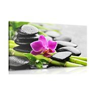 WANDBILD SPA-STILLLEBEN MIT LILA ORCHIDEE - BILDER MIT FENG SHUI-MOTIVEN - BILDER