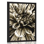 POSTER – DALIA ESOTICA IN SEPPIA - NERO E BIANCO - POSTER