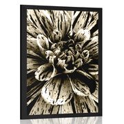 POSTER EXOTIC DAHLIA IN SEPIA DESIGN - BLACK AND WHITE - POSTERS