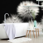 SELF ADHESIVE WALL MURAL BLACK AND WHITE DANDELION - SELF-ADHESIVE WALLPAPERS - WALLPAPERS