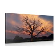 TABLEAU SUR TOILE – MAGNIFIQUE ARBRE DANS LE PRÉ - TABLEAUX DE LA NATURE ET DES PAYSAGES - TABLEAUX