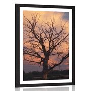 POSTER WITH MOUNT BEAUTIFUL TREE ON THE MEADOW - NATURE - POSTERS