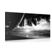 CANVAS PRINT SUNRISE ON A CARIBBEAN BEACH IN BLACK AND WHITE - BLACK AND WHITE PICTURES - PICTURES