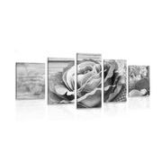 5-PIECE CANVAS PRINT ELEGANT VINTAGE ROSE IN BLACK AND WHITE - BLACK AND WHITE PICTURES - PICTURES