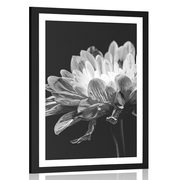 AFFICHE AVEC MONTURE MARGUERITE EN NOIR ET BLANC - NOIR ET BLANC - AFFICHES