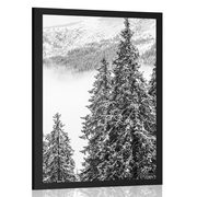 POSTER SNOWY PINE TREES IN BLACK AND WHITE - BLACK AND WHITE - POSTERS