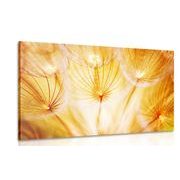 CANVAS PRINT ABSTRACT DANDELION - PICTURES FLOWERS - PICTURES