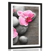 POSTER MIT PASSEPARTOUT ELEGANTE KOMPOSITION MIT ORCHIDEENBLÜTEN - FENG SHUI - POSTER