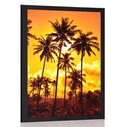 POSTER – PALME DA COCCO SULLA SPIAGGIA - NATURA - POSTER