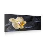 Picture Zen stones with yellow orchid