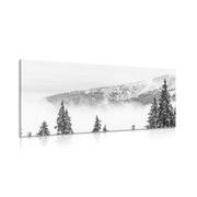 Canvas print snowy pine trees in black and white