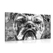 TABLEAU SUR TOILE – BULLDOG EN NOIR ET BLANC - TABLEAUX EN NOIR ET BLANC - TABLEAUX