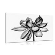Quadro fiore di loto ad acquerello con design in bianco e nero