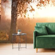 WALL MURAL MISTY AUTUMN FOREST - WALLPAPERS NATURE - WALLPAPERS