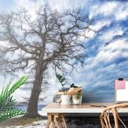 WALL MURAL TREES IN THE WINTER - WALLPAPERS NATURE - WALLPAPERS