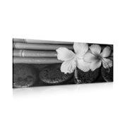 Canvas print wellness still life in black and white
