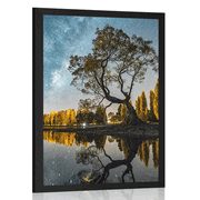 AFFICHE ARBRE SOUS LE CIEL ÉTOILÉ - NATURE - AFFICHES