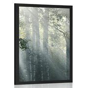 POSTER SUN RAYS IN A FOGGY FOREST - NATURE - POSTERS