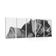 5-PIECE CANVAS PRINT BLACK AND WHITE MONSTERA LEAF - BLACK AND WHITE PICTURES - PICTURES