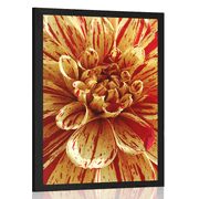 AFFICHE DAHLIA EXOTIQUE - FLEURS - AFFICHES