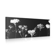 Canvas print elegant black and white flowers