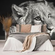 Selbstklebende Fototapete Löwenjunge in Schwarz-Weiß
