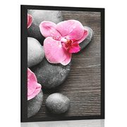 POSTER – COMPOSIZIONE ELEGANTE CON FIORI DI ORCHIDEA - FENG SHUI - POSTER