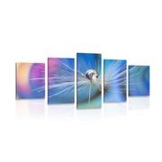 5-piece Canvas print dew drop on a colored background