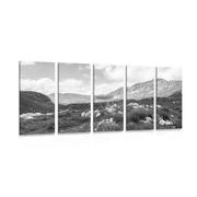 5 part picture Valley in Montenegro in black & white