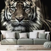 SELF ADHESIVE WALL MURAL TIGER - SELF-ADHESIVE WALLPAPERS - WALLPAPERS