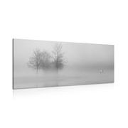 Tablou copaci în ceață în design alb-negru