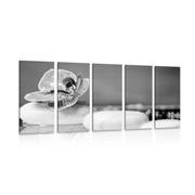 5 part picture orchid and Zen stones in black & white