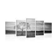 5-PIECE CANVAS PRINT LONELY TREE IN BLACK AND WHITE - BLACK AND WHITE PICTURES - PICTURES