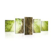 5-PIECE CANVAS PRINT TREE TRUNK - PICTURES OF NATURE AND LANDSCAPE - PICTURES