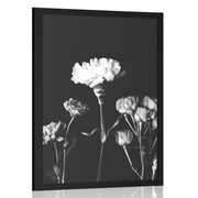 AFFICHE FLEURS ÉLÉGANTES EN NOIR ET BLANC - NOIR ET BLANC - AFFICHES