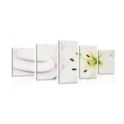 5-PIECE CANVAS PRINT LILY AND MASSAGE STONES IN WHITE DESIGN - PICTURES FENG SHUI - PICTURES