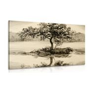 CANVAS PRINT ORIENTAL CHERRY IN SEPIA DESIGN - BLACK AND WHITE PICTURES - PICTURES